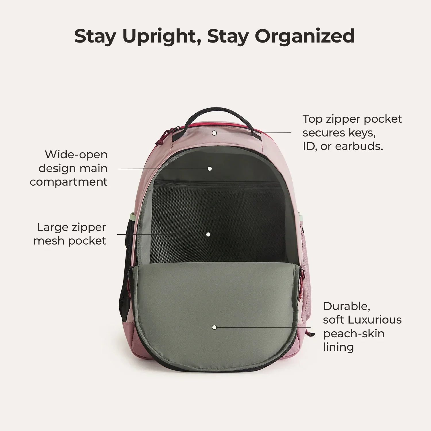 Focus Rucksack für 15.6" Laptop - Image 8